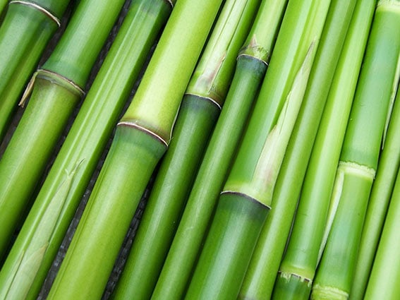bamboo ET2C sourcing Vietnam