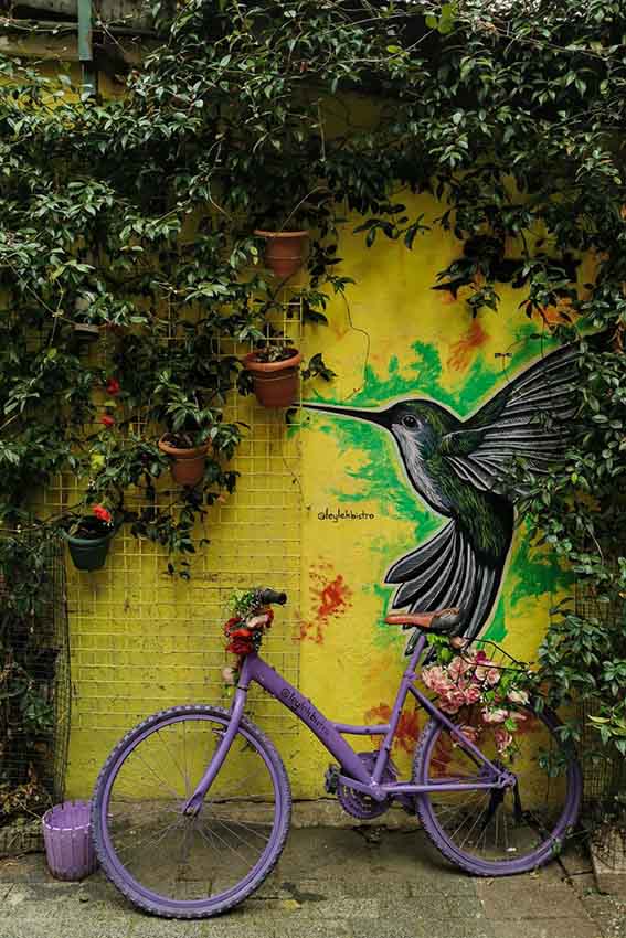  Urban industrial jungle style design garden bicycle purple 