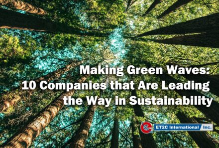 Making Green Waves: 10 Companies that Are Leading the Way in Sustainability