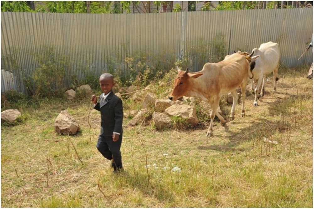 ethiopia manufacturing agriculture