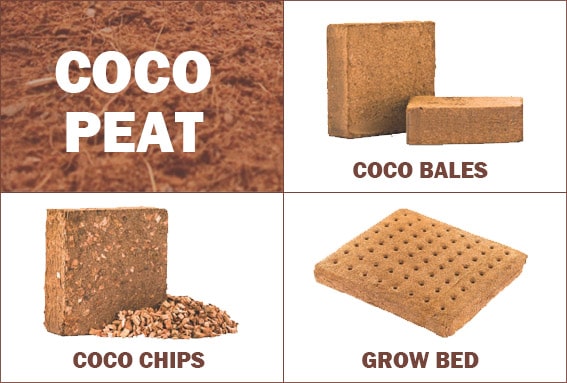 COCO PEAT