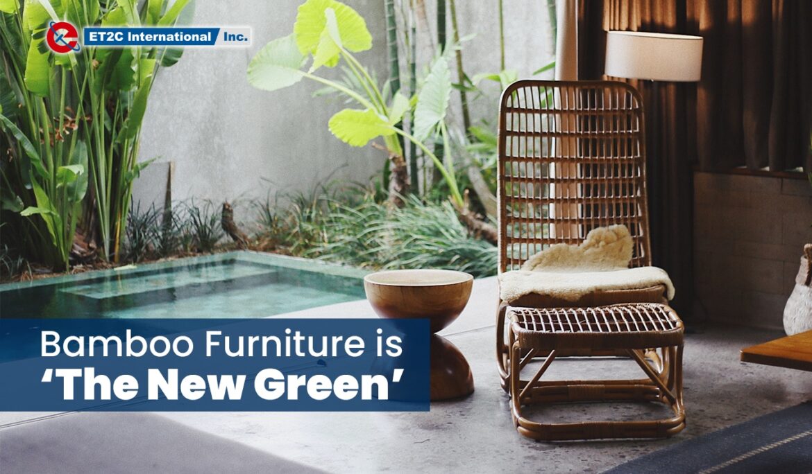 Bamboo Furniture is ‘The New Green’