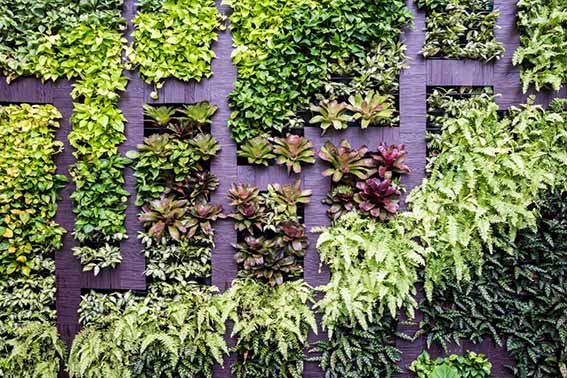 vertical garden sourcing ET2C Int procurement