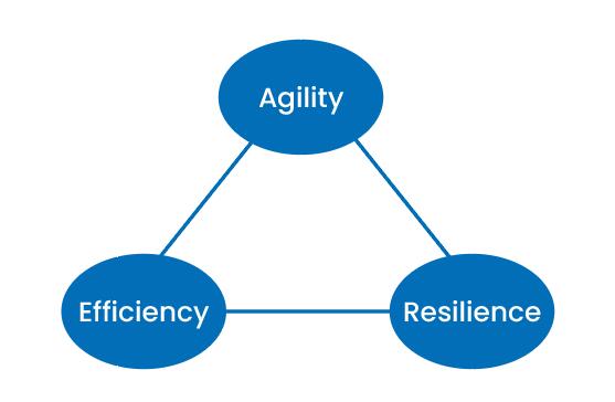 Sourcing Agility