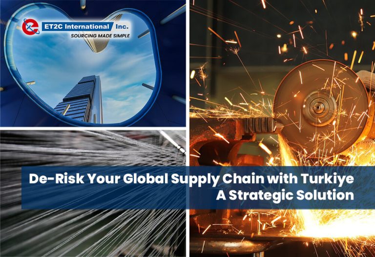 De-Risk Your Global Supply Chain with Turkiye